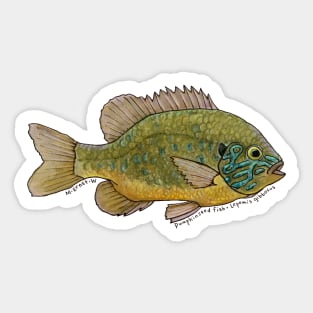 Pumpkinseed Fish Watercolor Sticker